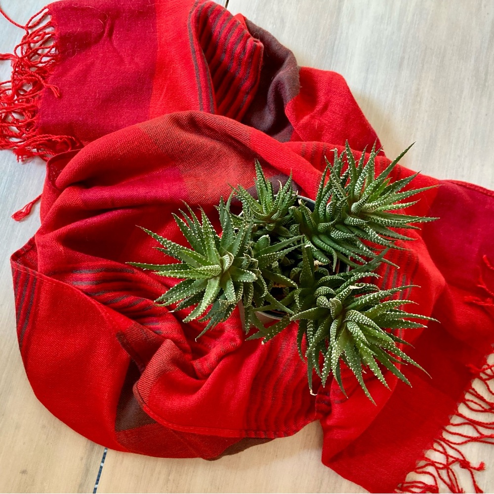 Women’s Red and Black Patterned Pasmina.
